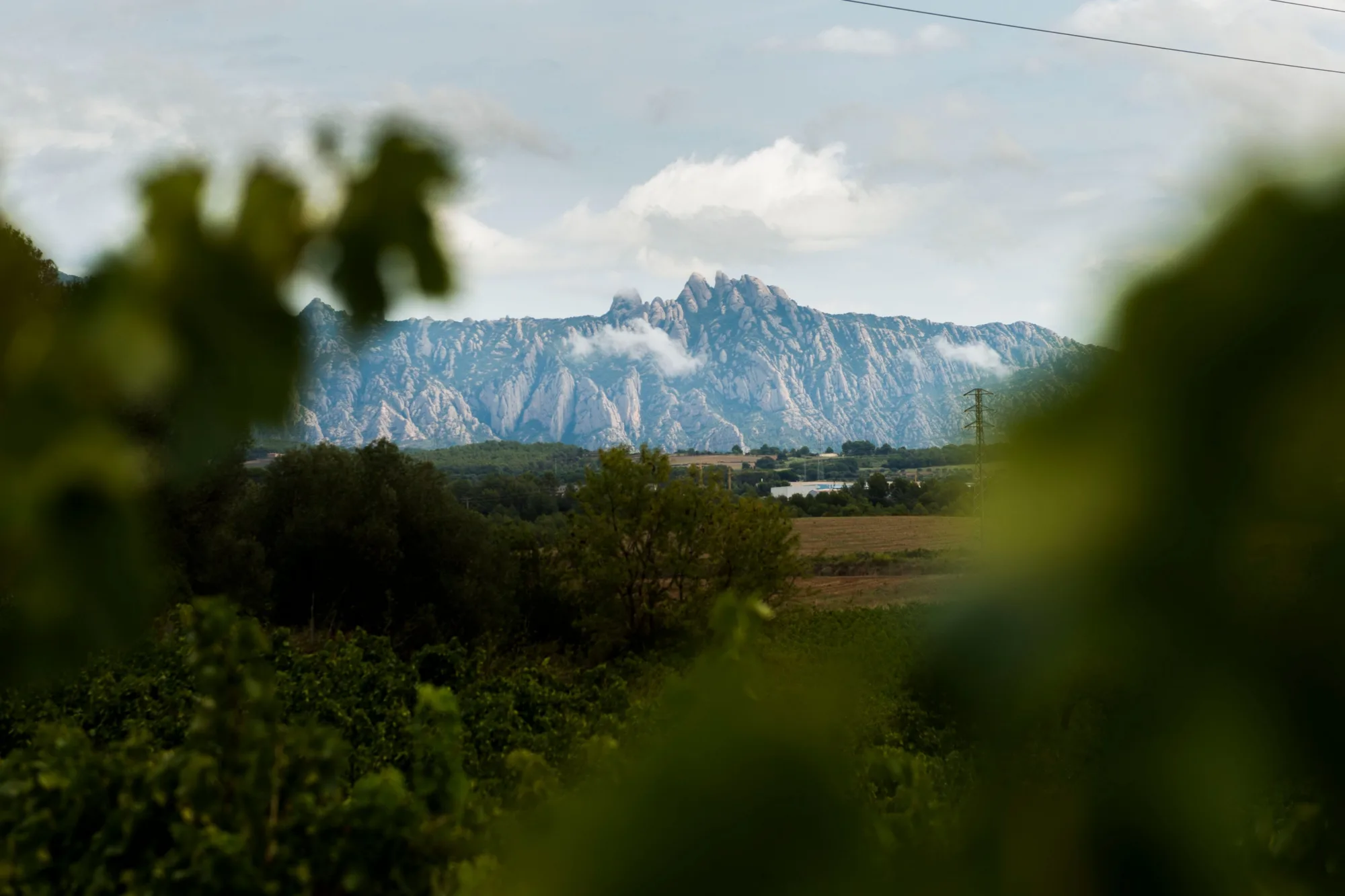 <p>Peu de foto</p>
